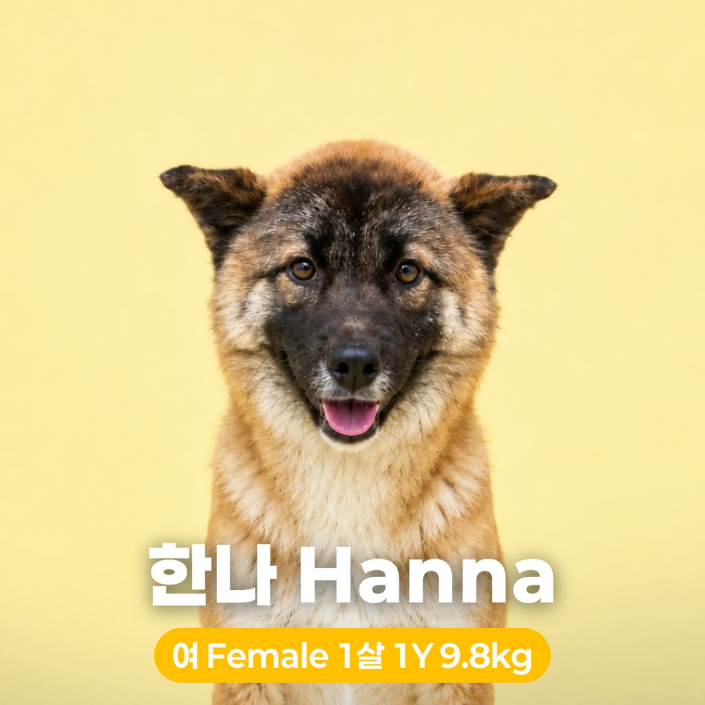 Hanna Hw+