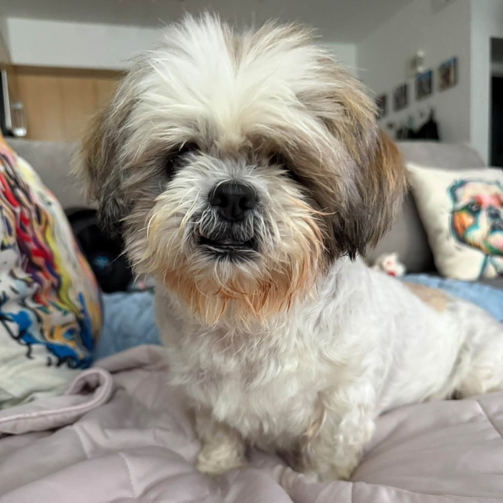 Kathi, photo 18