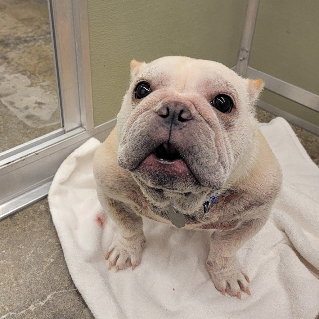 Sassy Pants — thumbnail 5