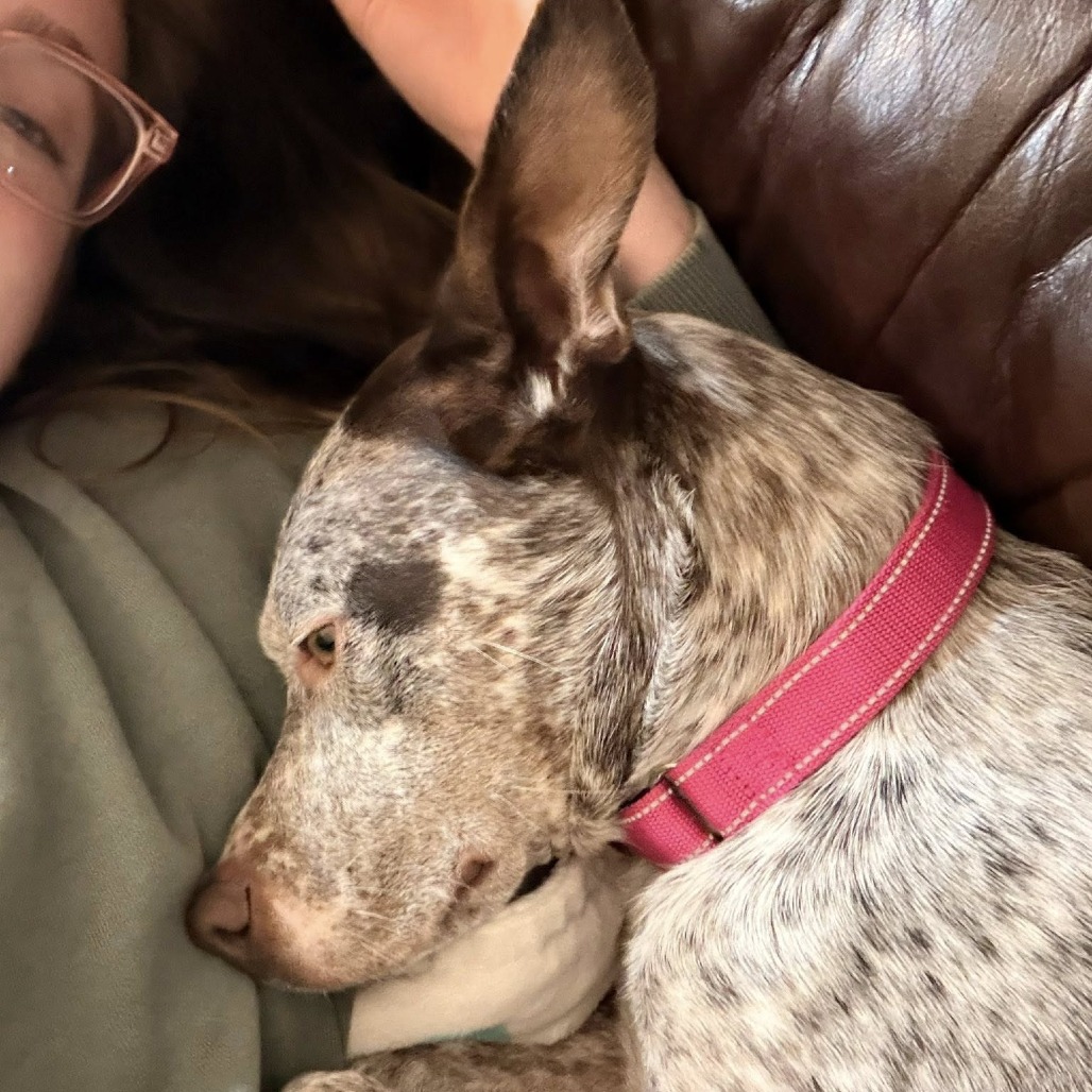 Maggie O'Hooligan/Mom 