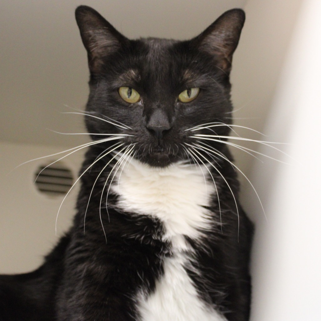 Sushi — thumbnail 3