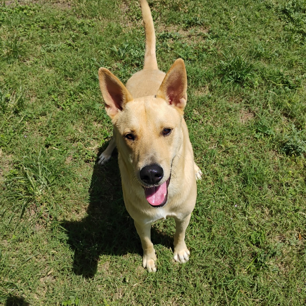 Cooper photo 2