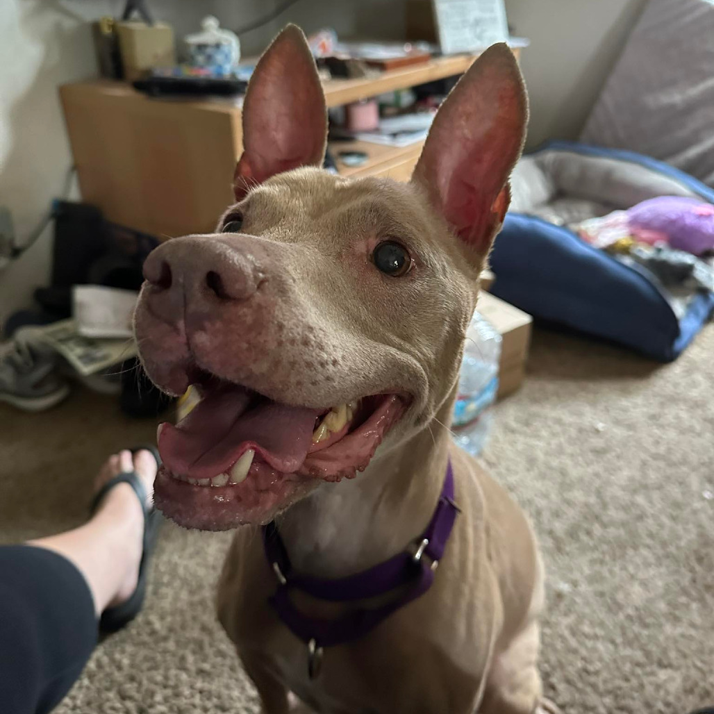 Photo of Olivia 44