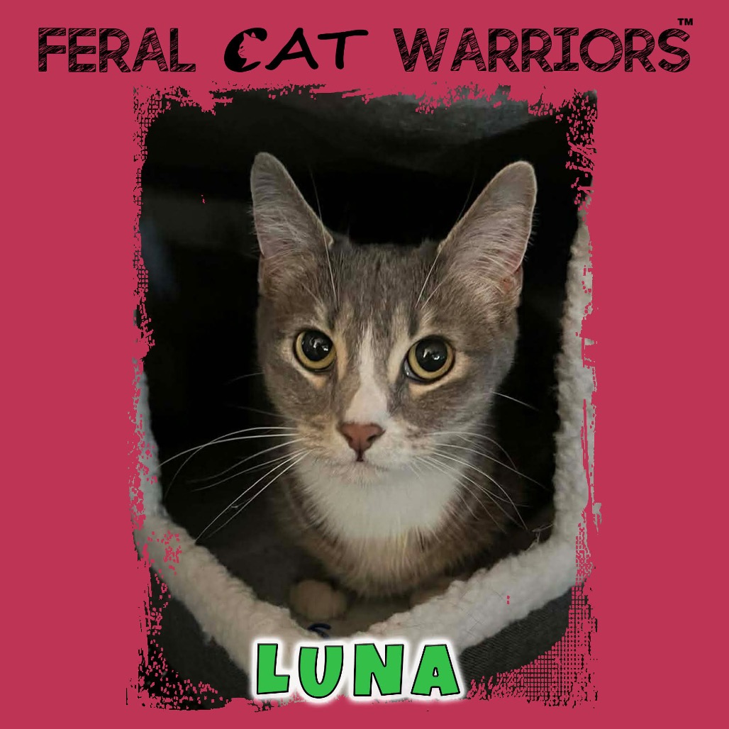 Luna [Melinda]