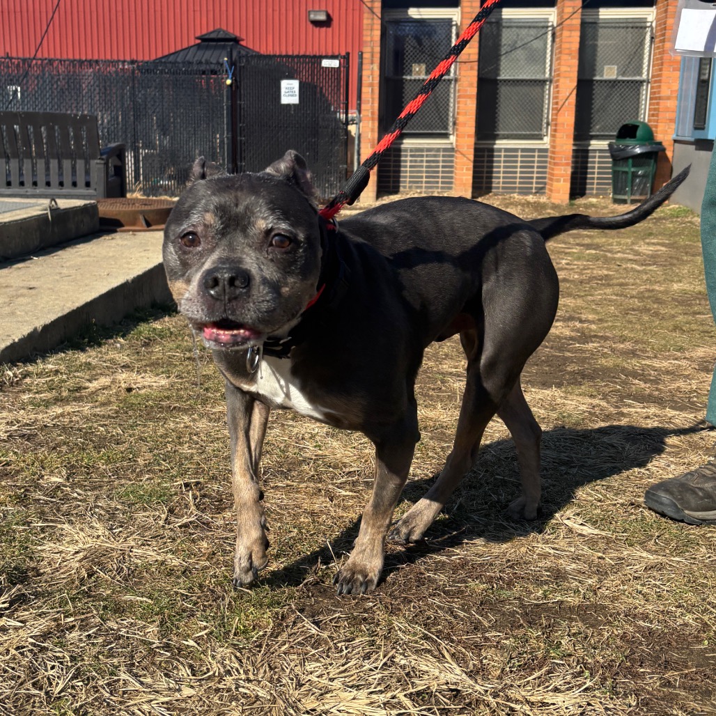 Lucas — thumbnail 4