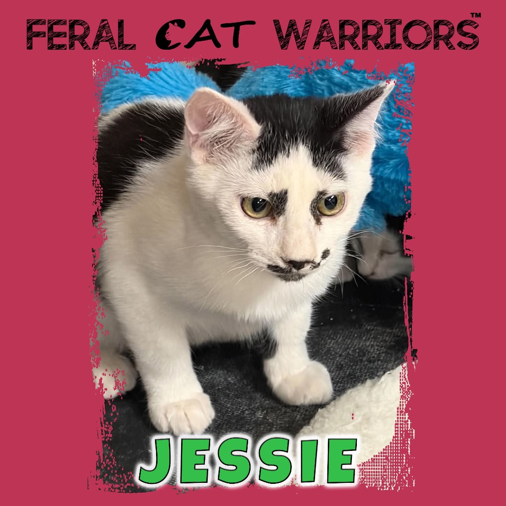 Jessie