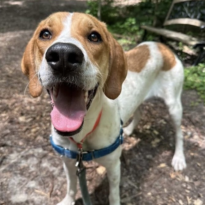 Ashtyn