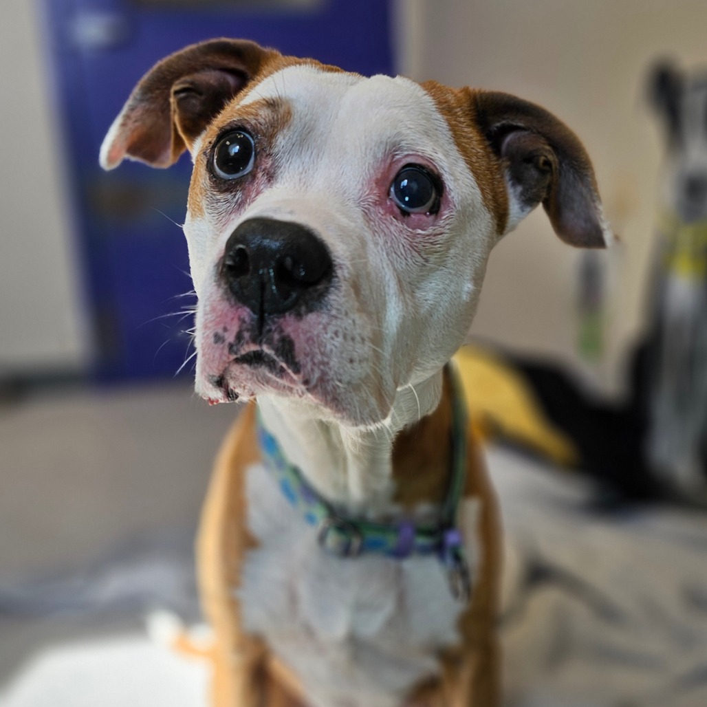 Zoey