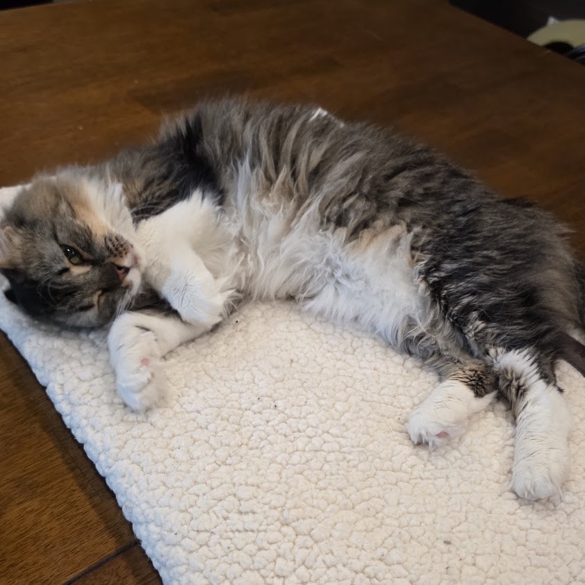 Maya, photo 7 of 7