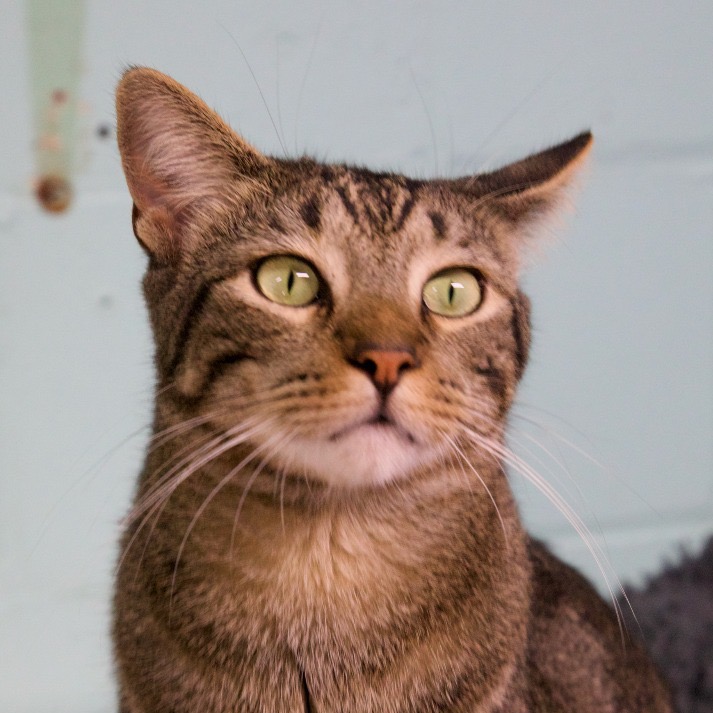 Photo of Squirt playing