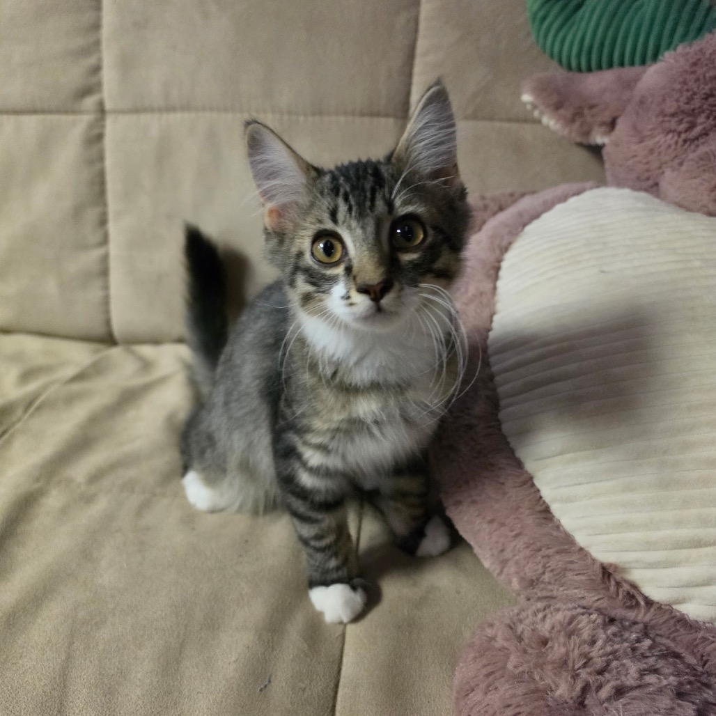 Photo of MINARA