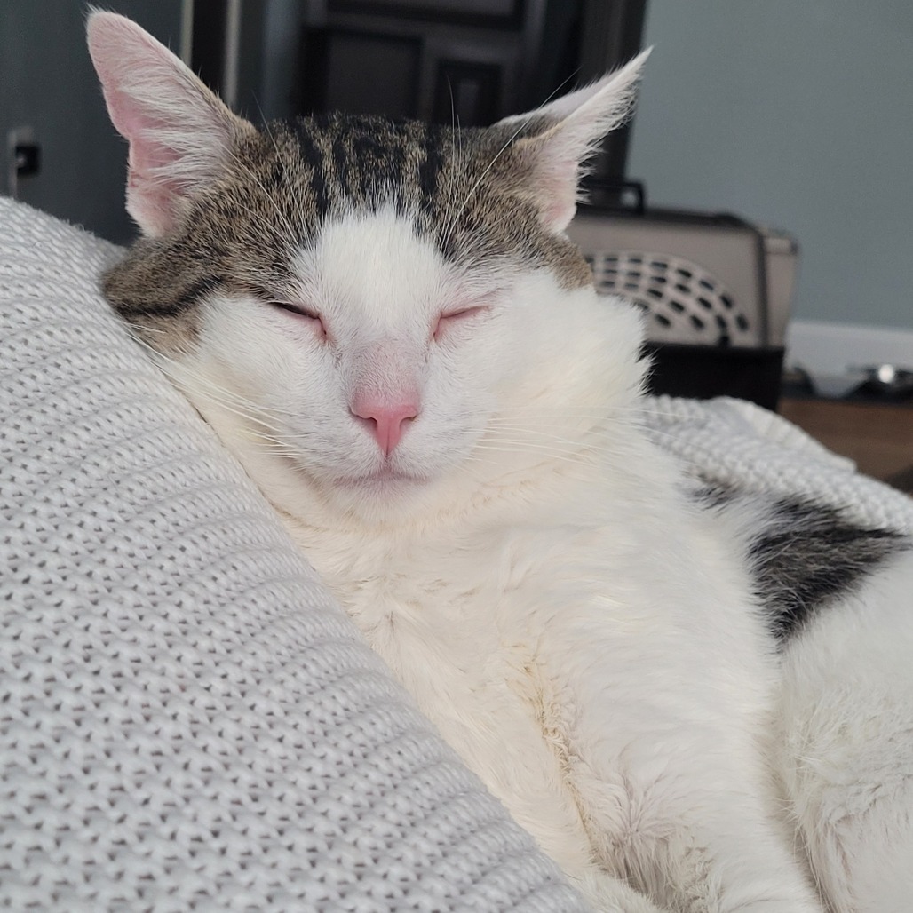 Photo of Mr. Smee