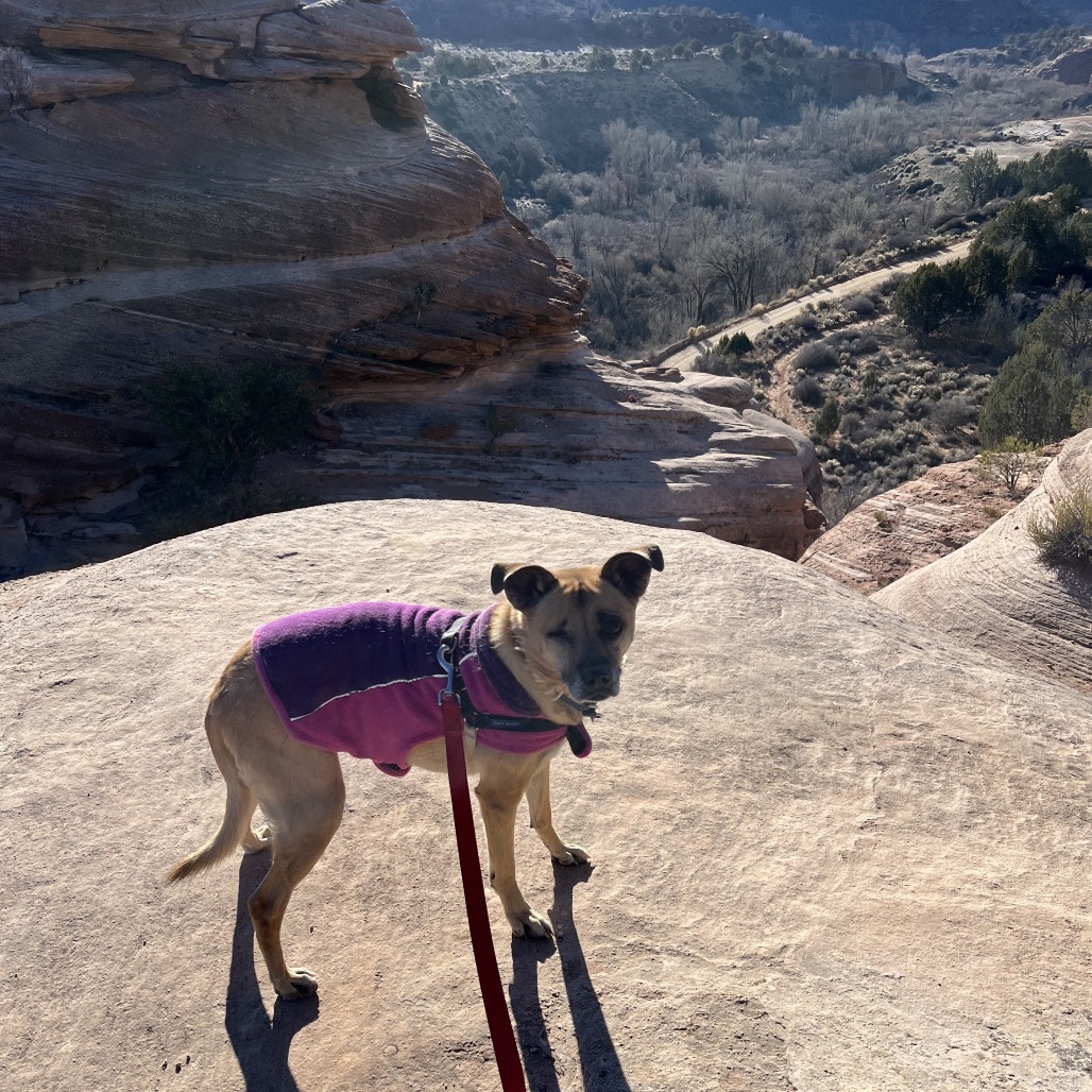 LuLu, photo 8