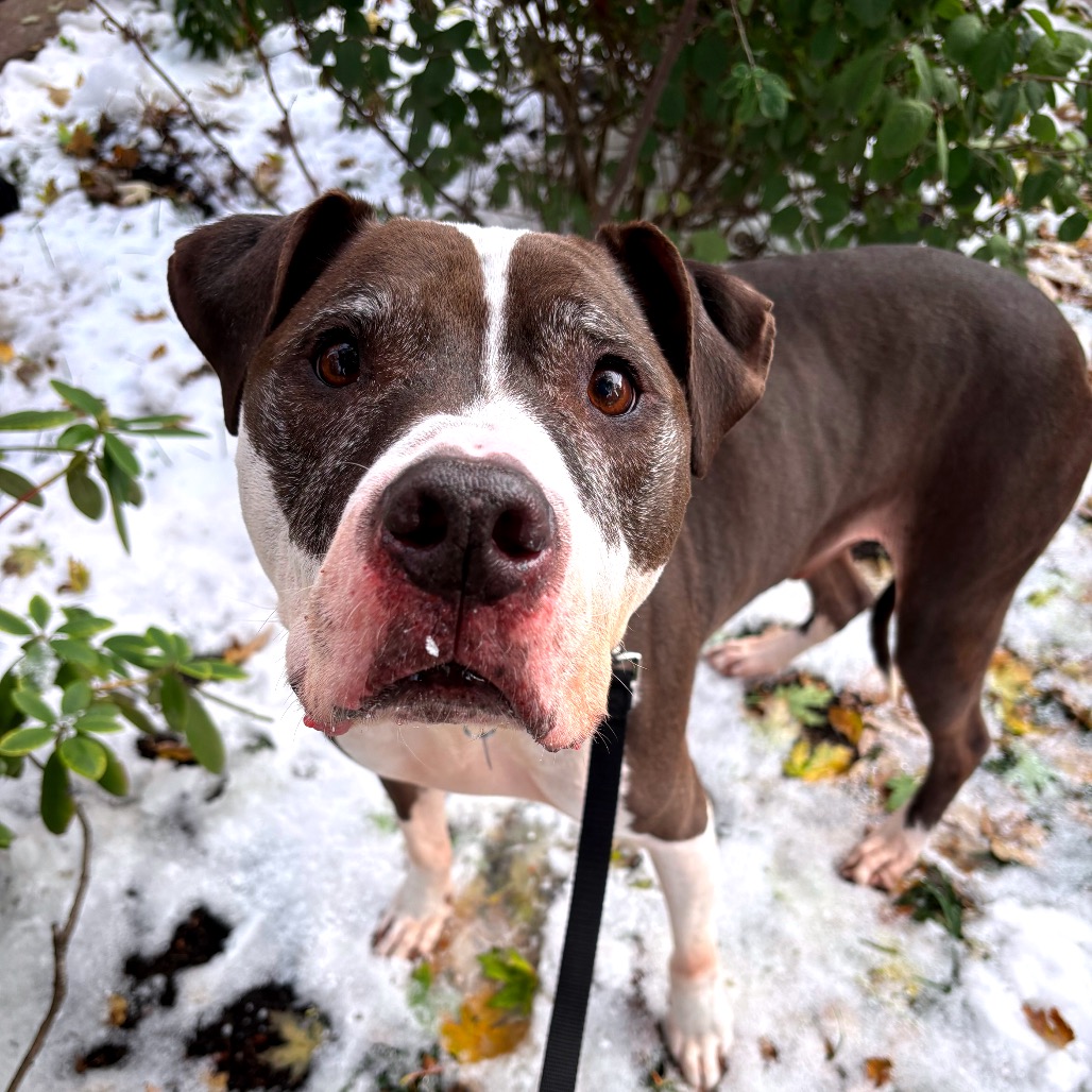 Jack — thumbnail 3