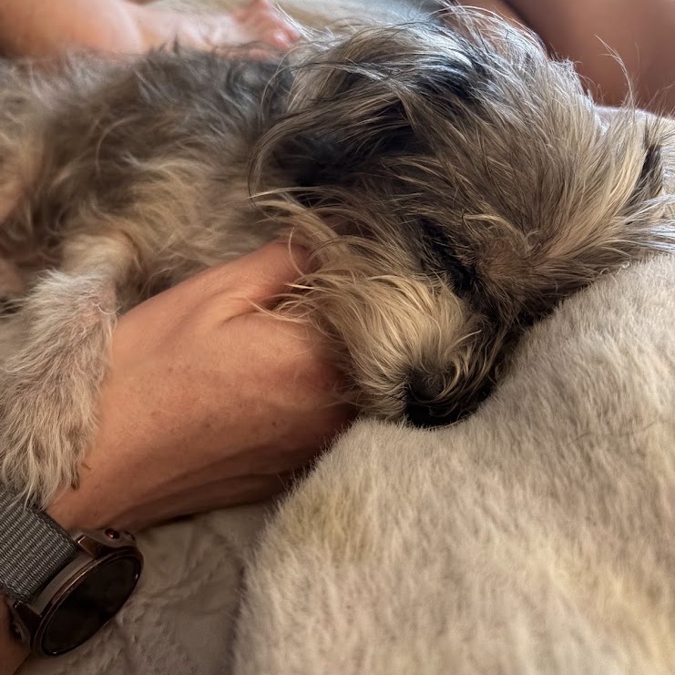 Lillie Marie, photo 7