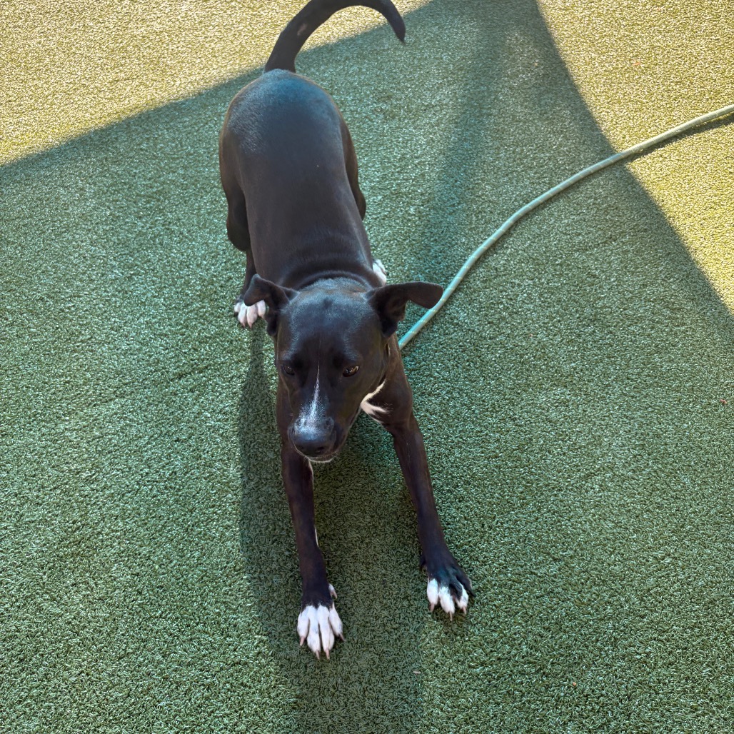 Ember, photo 12