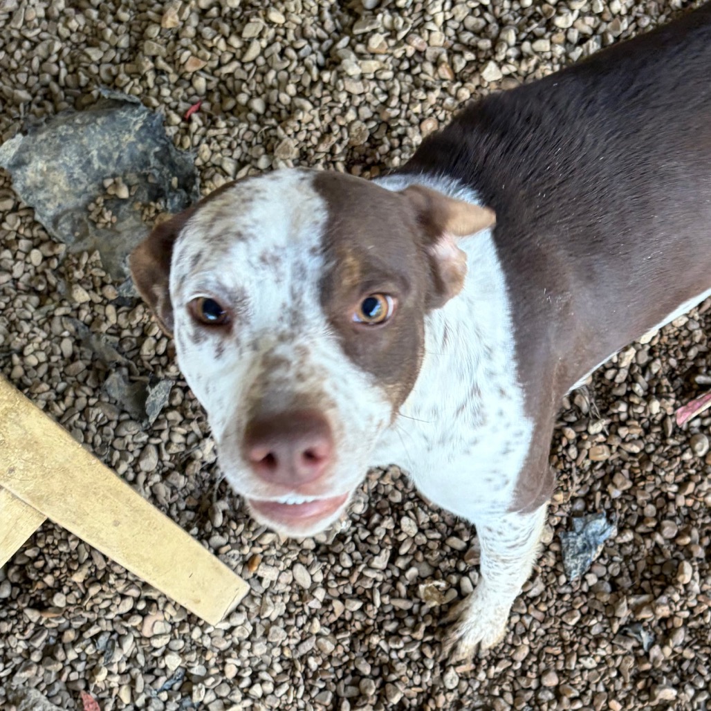 Gayle — thumbnail 3