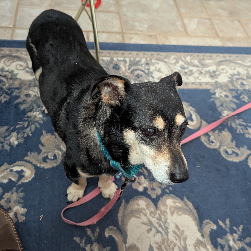 Sally, additional photo