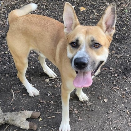 Duffy — thumbnail 2