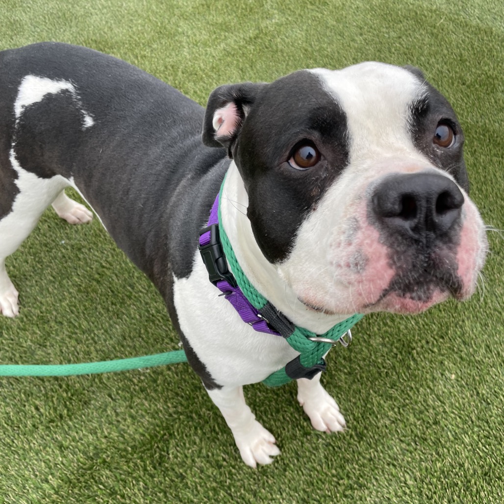 Ellie — thumbnail 4