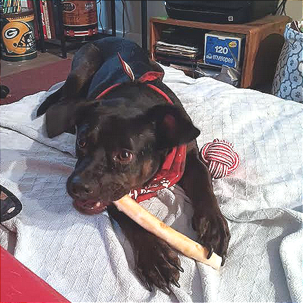 Odin — thumbnail 8