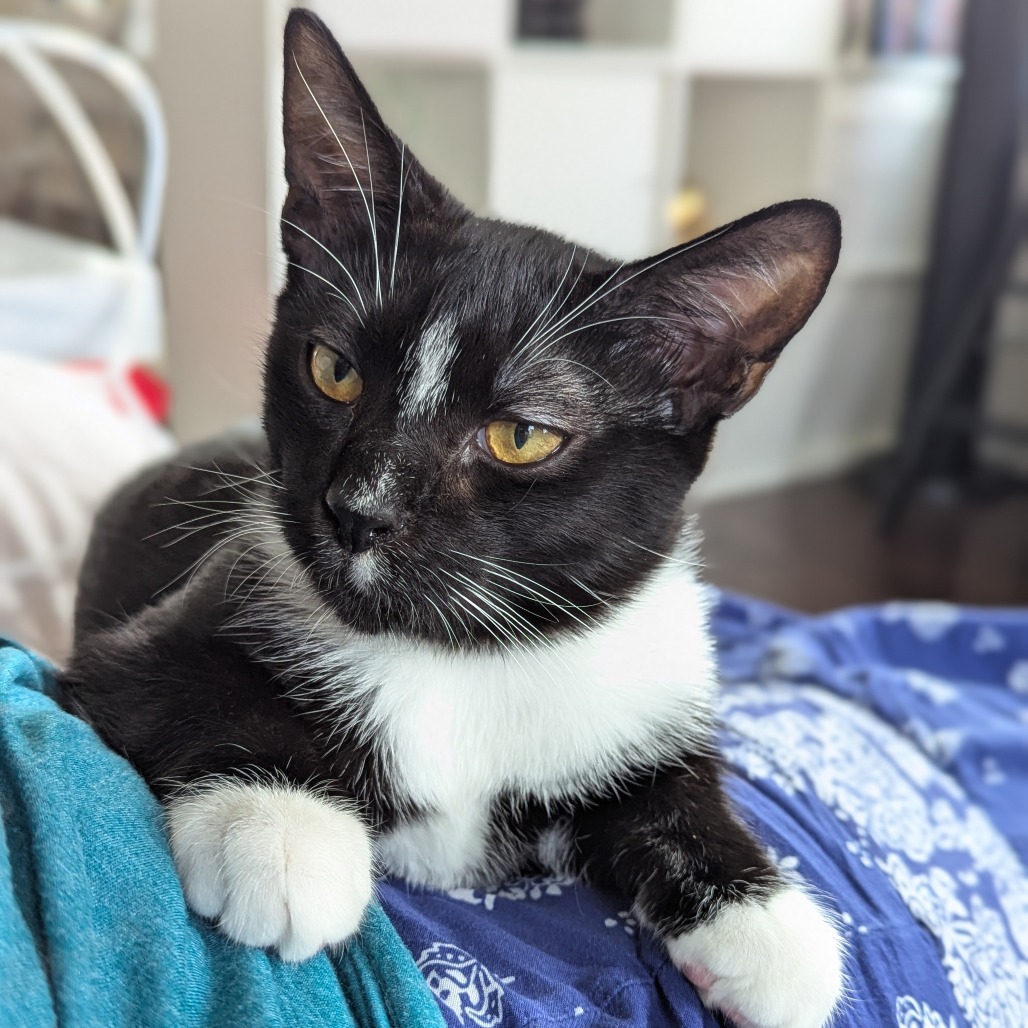 Salem