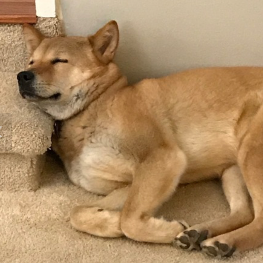 Moxie — thumbnail 5