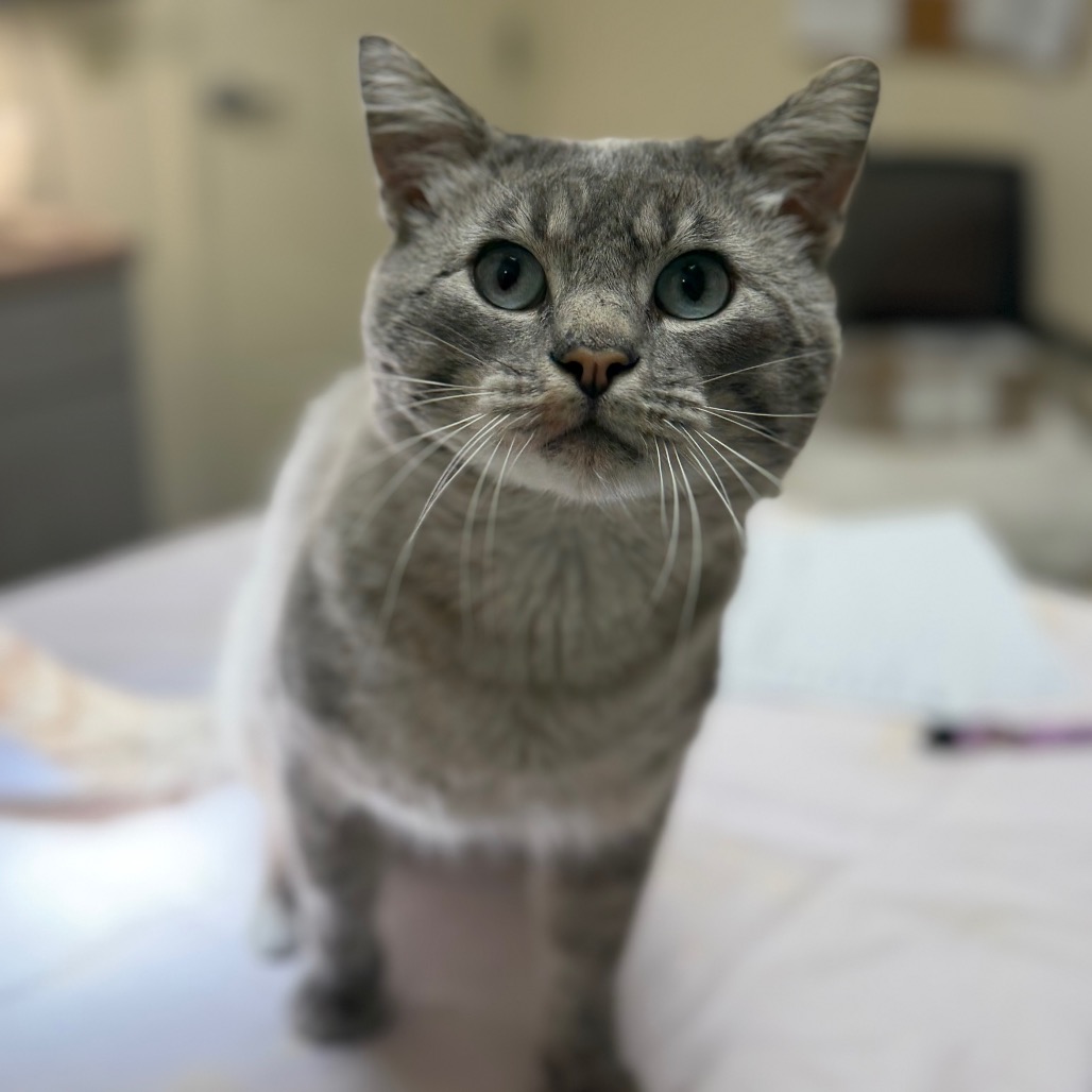 Milton
