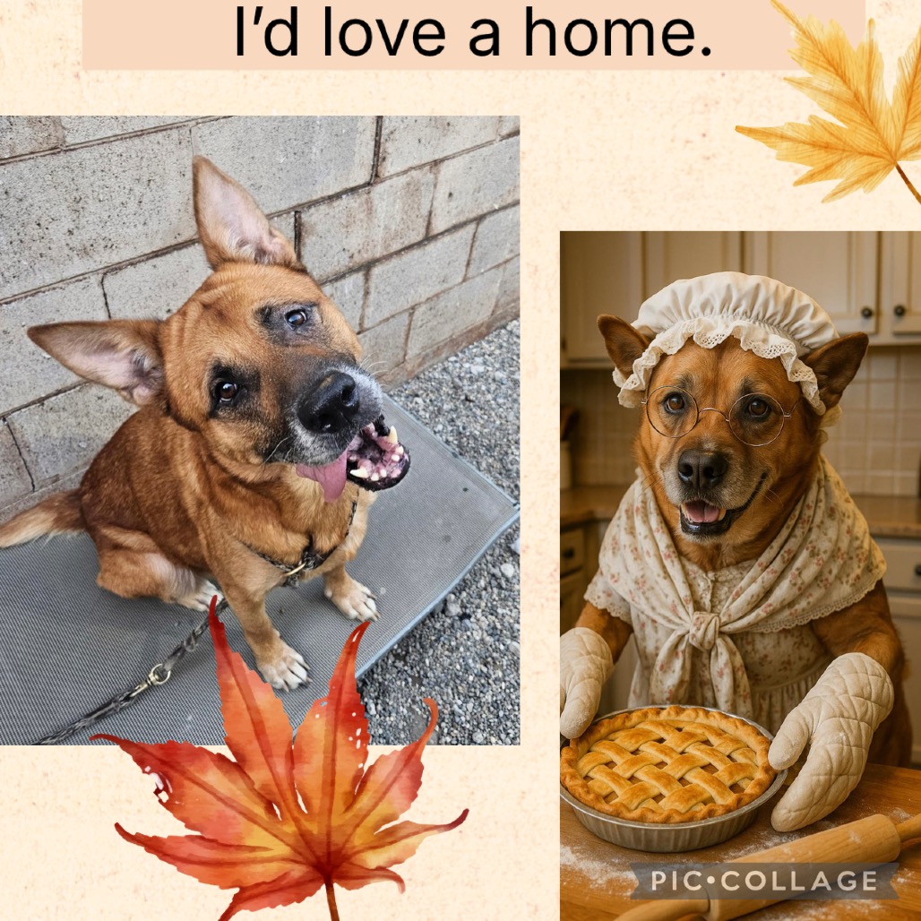 Honey-Foster — thumbnail 4