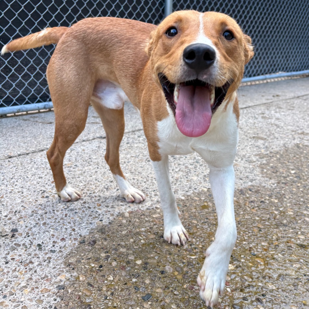 Lucky — thumbnail 3