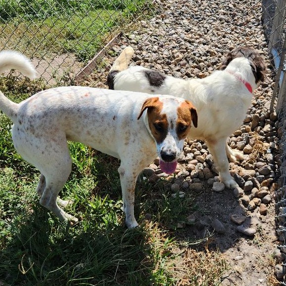 Cindy photo 21
