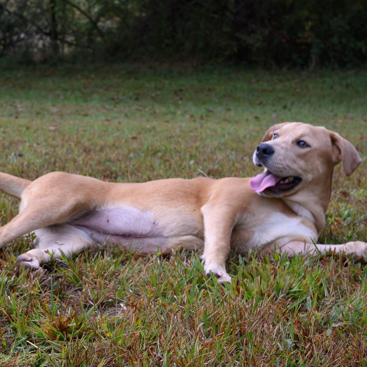 Eloise, photo 12