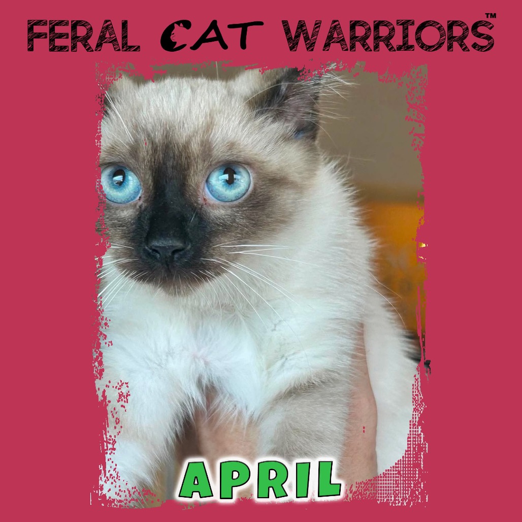 April