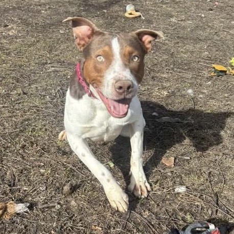 Couscous — thumbnail 7