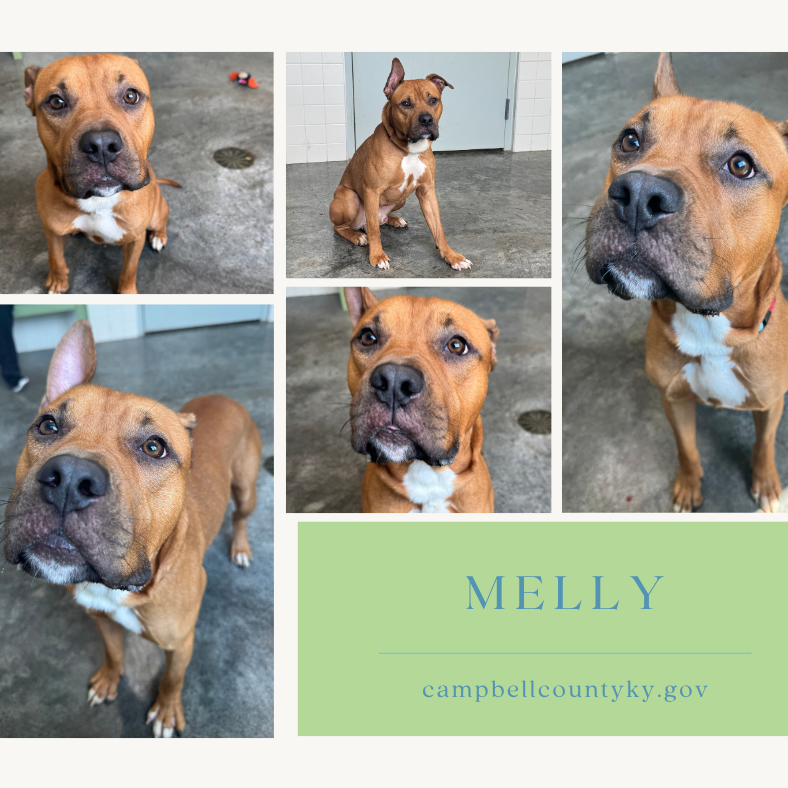 Melly