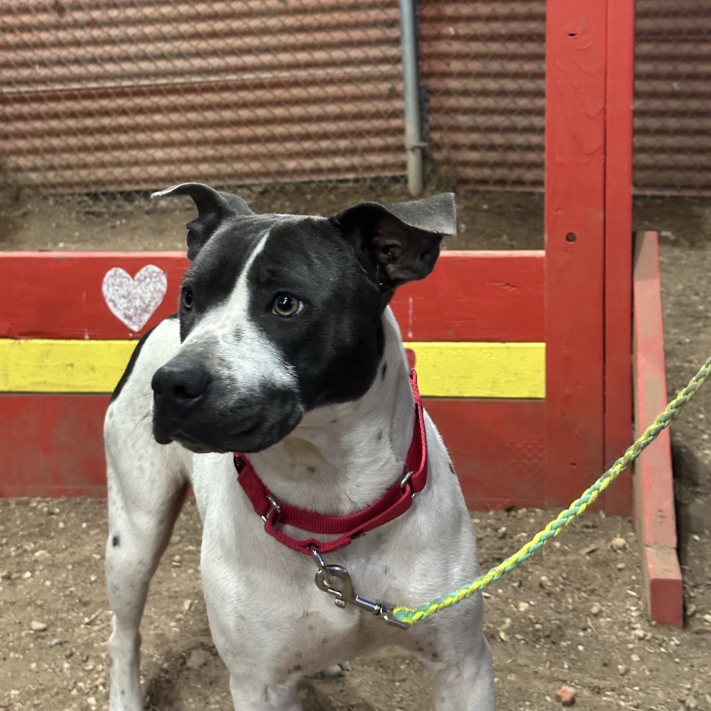 Lillian — thumbnail 8