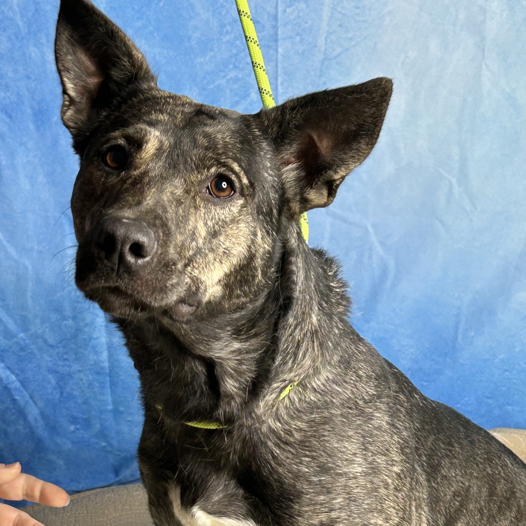 Evey — thumbnail 2