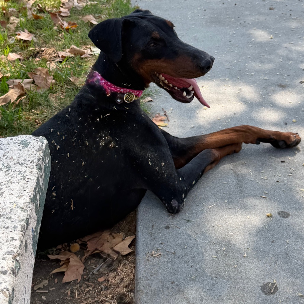 SHEENA, photo 8
