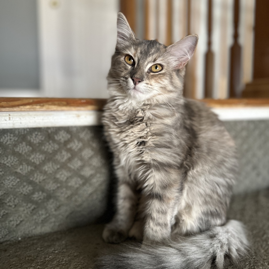 Banchan — thumbnail 2