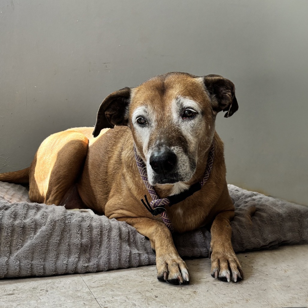 Ethel, additional photo