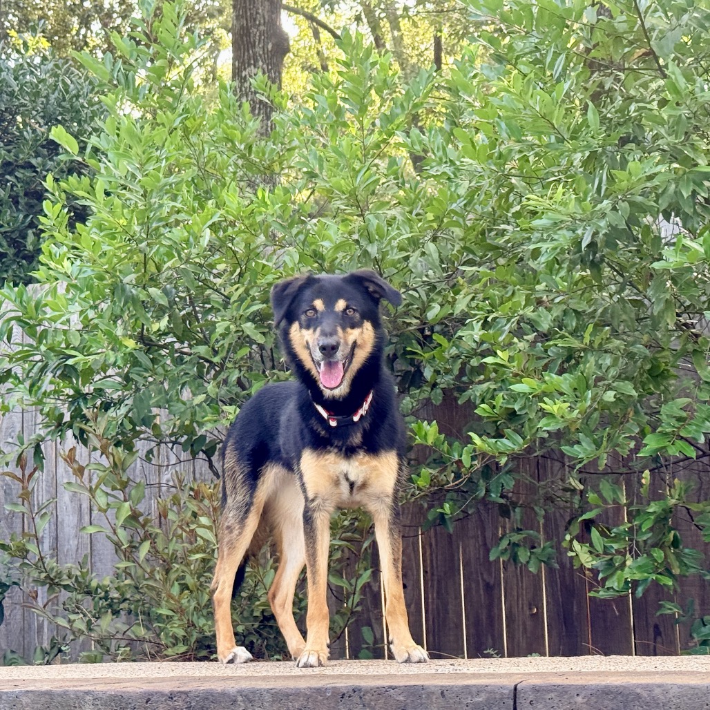 Harlow, photo 7