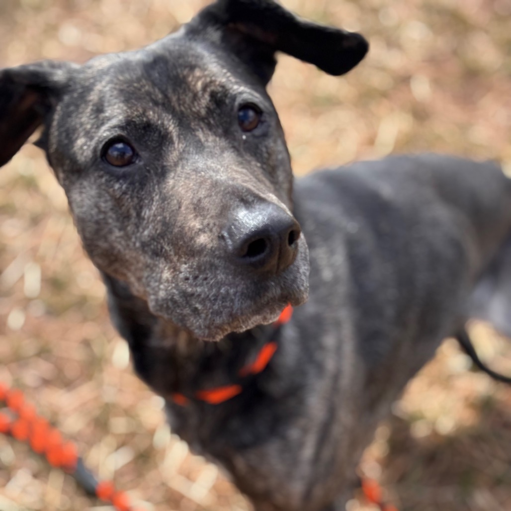 ea6ad0a8e16bfefde8188ad8a33aa214