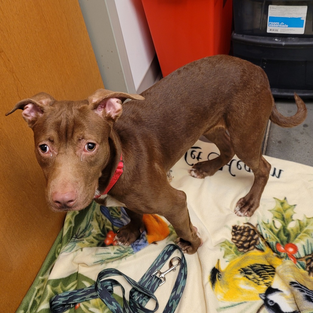 Photo of Starcraft 4