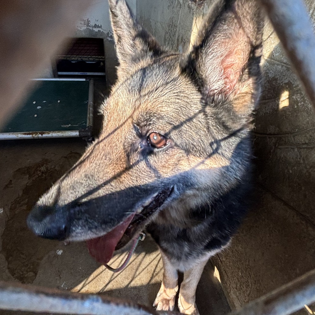 Tomato Soup — thumbnail 5