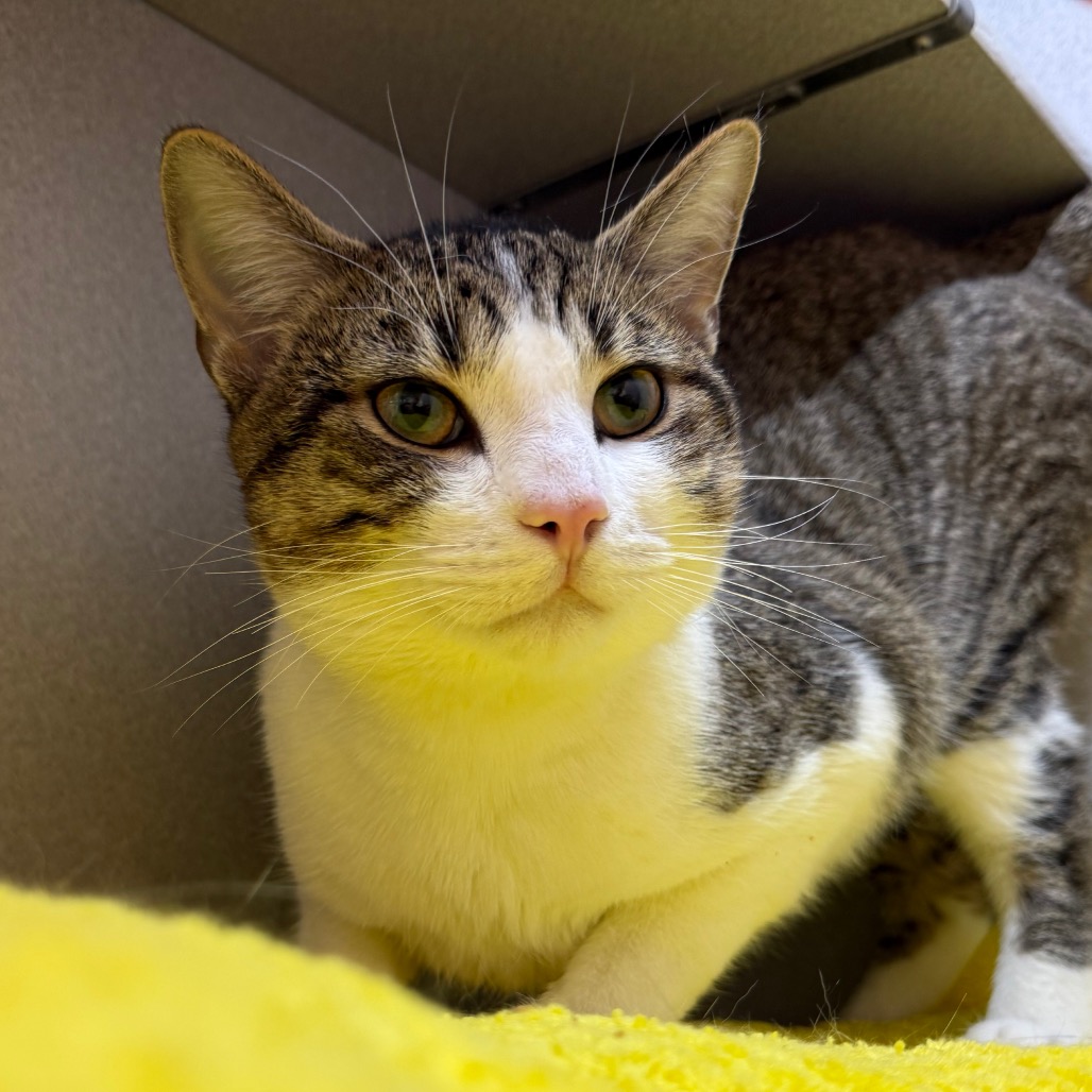 Photo of Nick Carraway 11