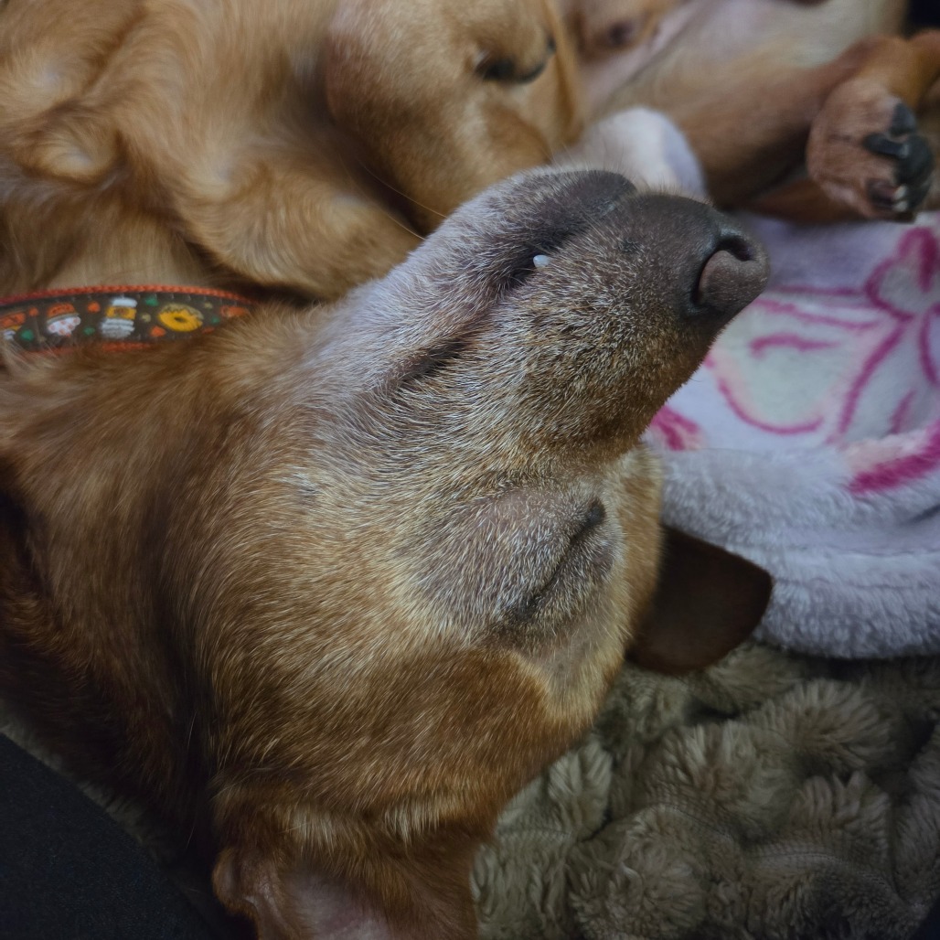 Frito, photo 12