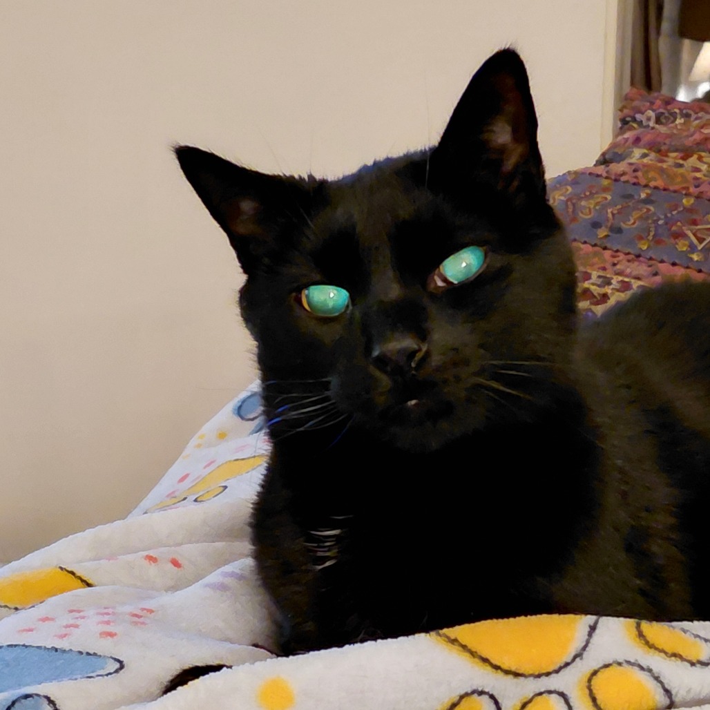Photo of Sammy 3