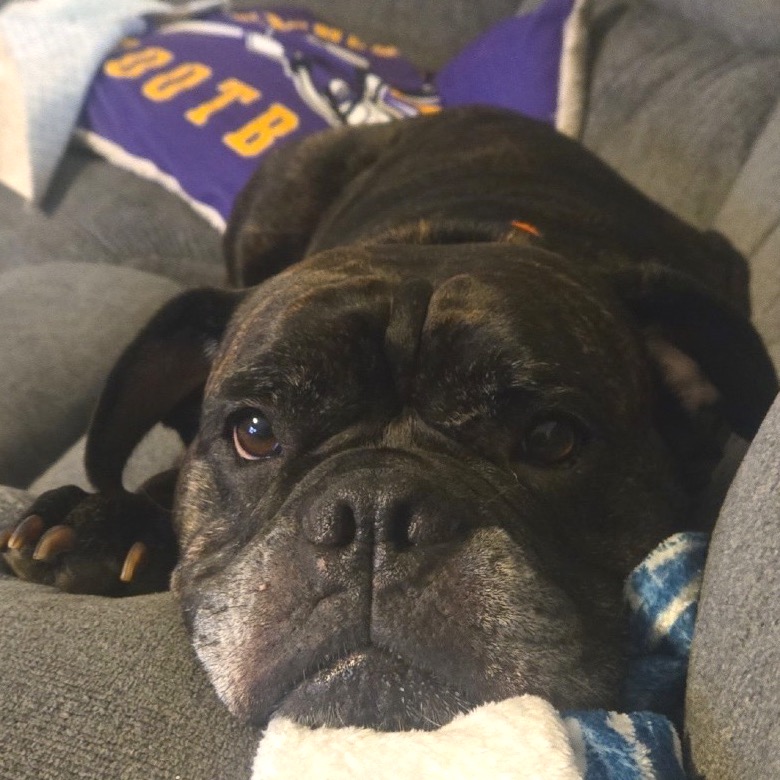 Pepper, photo 2
