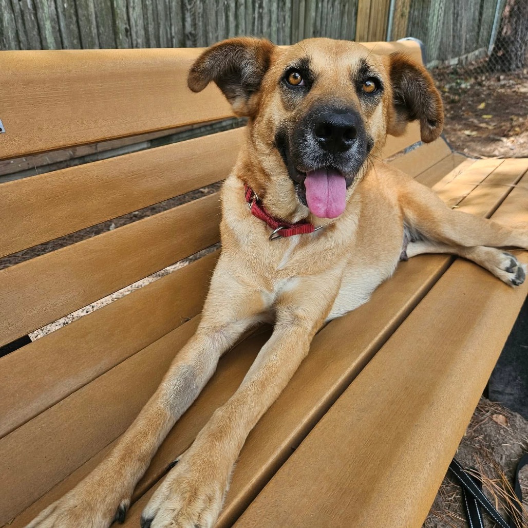 Hazel, photo 20