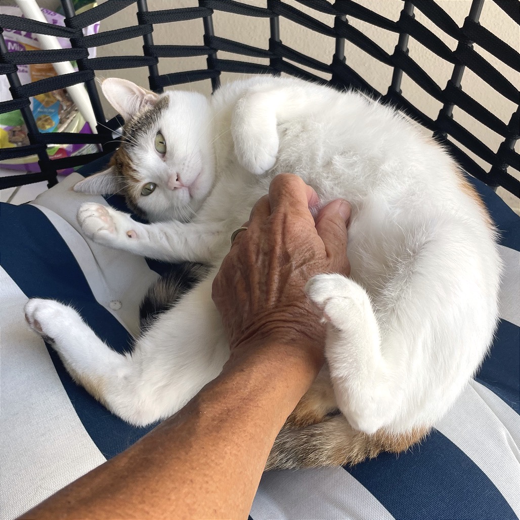 Photo of Poppy playing